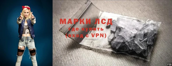 хмурый Сатка