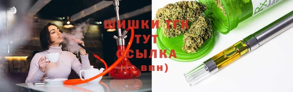 хмурый Сатка